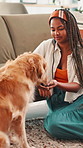 Home, woman and dog with treats for feeding, companion and bonding together in living room. Sofa, animal and female person with golden retriever for eating, snack and care for domestic pet in lounge