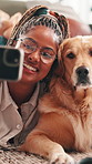 Woman, golden retriever and selfie with smile in home, floor or hug for love, care or trust in lounge. African girl, influencer and pet dog with photography, happy or profile picture for social media