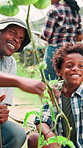 Child, dad and teaching farming with vegetables plants or harvest for greenhouse sustainability. Father, black family or kid learning for growth inspection of crops, tomatoes or garden in environment