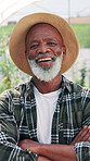 Farm, crossed arms and face of mature man with plants for growth, sustainability and harvest. Agriculture, nature and portrait of person for environment, vegetables and natural produce for health