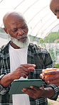 Mature man, tablet and tomato in greenhouse with inspection, discussion and sustainability in countryside. Black people, digital touchscreen and application with check, test and quality assurance