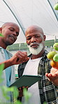 Tablet, talking and people farming with vegetables, plants and harvest for sustainability. Agro business, African men and teamwork for growth inspection of crops, tomatoes and garden in environment