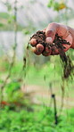 Agriculture, farm and farmer hands with soil inspection for crop management, compost health and quality assurance. Sustainable business, person and fertilizer for plant growth and natural nutrients
