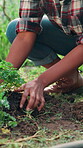 Plant, soil and farming with hands of person and ground for growth, sustainability and agriculture. Quality assurance, organic crops and countryside with closeup of farmer in nature for herbs