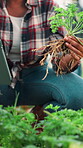 Farmer, agriculture and tablet with plant inspection for crops harvest, quality assurance and food production. Agribusiness, person and examine roots for growth management, soil health and ecommerce