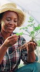 Woman, greenhouse and smell plant with farming, results and harvest with healthy leaves, roots and growth. African person, happy and check for quality assurance with herbs, produce and agro business