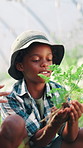Boy, plant and happy for learning in greenhouse for farming, development and parent for guide. African child, herbs and smile for inspection, crops and quality assurance with roots for agriculture