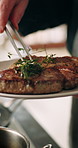 Cooking, plate and man with presentation of food for culinary, meal prep and dinner in restaurant. Kitchen, catering and chef with garnish on meat for nutrition, gourmet dish and cuisine recipe