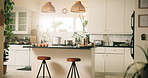 Empty room, kitchen and home with furniture, ingredients and cooking with pot, pan and utensils. Countertop, container and stool with equipment for cuisine, meal prep and interior at apartment
