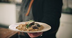Hands, person and plate with food in kitchen for fine dining, nutrition cuisine and catering service. Chef, cooking and presentation with meal preparation, serving lunch and diner aesthetic at house