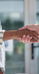 Business, people and shaking hands with meeting in office for marketing collaboration, b2b onboarding and welcome. Creative agency, employees and handshake for partnership agreement, offer and deal