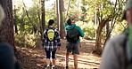 Hiking, backpacker and group in woods, travel and journey for adventure in environment and walking. Outdoor, trekking and traveller on holiday in nature, forest and people on trip for exploration