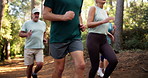 People, running and legs in forest for exercise, cardio workout or marathon together in nature. Mature friends, group or runners jogging with trail or path for race, health or wellness in woods