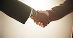 Handshake, closeup and business people in studio for deal, welcome or success by background. Shaking hands, congratulations and b2b agreement with partnership, introduction or support for achievement