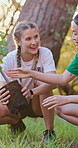 Women, friends and planting with tree for volunteer with outdoor, community work and earth day event. People, charity support and sapling for sustainable environment, ecology and sunset teamwork