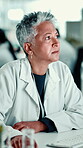 Mature, reading or woman in laboratory with computer, science or gene editing medical experiment. Data scientist, chemistry breakthrough or typing on technology with report, test or research results