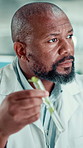 Chemist, black man and plant with test tube in laboratory for botany, medical research and breakthrough. Scientist, biotechnology and examine sample leaf for pharmaceutical or sustainable ecology