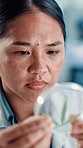 Scientist, woman and cannabis in petri dish at lab with career, study or sample for pharma development. Person, medical marijuana and leaf in container for research, review and feedback with science
