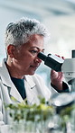 Scientist, woman and microscope for plant research, development and gmo experiment. Science, mature worker and micro lens for leaf analysis, medical test and study for agriculture innovation in lab