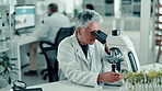 Analysis, scientist and woman with microscope, lab and observing plant cells, studying and research. Clinic, biologist and tech to identify cause of disease, medical professional and mature person