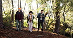Hiking, group and friends with walking in woods for travel adventure, sightseeing and conversation. Backpacker, happy people and backpack in nature with holiday journey, tourism or exploring together