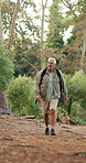 Journey, hiker and man with backpack in nature, walking or holiday for adventure in woods or active. Outdoor, trekking and senior person in forest for vacation, hiking or exploration for fitness