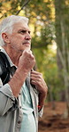 Thinking, hiker and man with backpack in nature, walking and mature traveller on journey and active. Outdoor, trekking and senior person in forest for vacation, reflection and hiking for exploration
