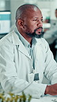 Plants, black man and scientist in laboratory for project, discovery or research for medical innovation. Botany, biotechnology and African male biologist with leaves for pharmaceutical development.