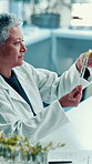 Scientist, woman and plant with test tube in laboratory for botany, medical research and smile. Mature chemist, biotechnology and examine sample for pharmaceutical study or sustainable ecology
