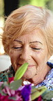 Smile, flowers and smell with old woman in home for relax, floral aroma and mothers day gift. Happiness, retirement and bouquet present with senior person in living room for celebration and plants