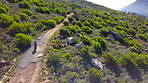 Alongside Lion's Head