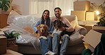Couple, face and happy with dogs in new home for property purchase, mortgage success or security. Homeowners, night and people with animals on sofa for pet friendly apartment, relocation or moving in