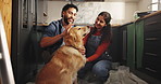 Painting, play and happy couple with dog for renovations, kitchen upgrade and maintenance. Labrador, people and homeowner with pet animal in new home for diy, makeover and decoration with hug or love