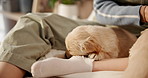 Sleep, relax and puppies on bed as pet for comfort, rest and love with owner in home. Animal, golden retriever or dog with woman, bonding or support for canine companion adoption or rescue in bedroom