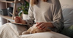 Hands, woman and writing notes with dog for planning, reminder and self reflection on bed. Female person, stroke puppy and notebook with checklist, inspiration ideas and journal information at house