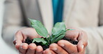 Businessman, hands and soil with plant in office for green investment, profit growth and ESG. Finance stakeholder, employee and leaves for earth day project, sustainable funds and financial interest