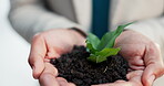 Businessman, hands and soil with plant development for green investment, profit growth and ESG. Investor, finance and employee in office for earth day project, sustainable funds or financial interest