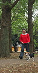 Smile, nature and woman with walking dog for pet care, exercise or morning activity in forest. Happy, leash and Japanese female person with beagle puppy for outdoor health, wellness or adventure.