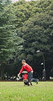 Happy woman, running and playing with dog on grass field for outdoor bonding with pet in Japan. Playful, female person and animal with toy in nature for holiday, weekend or physical activity in park