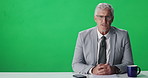 News anchor, man and reporter with mockup space, discussion and notes on green screen. Speaker, technology and presenter in studio for broadcast, media face or communication for journalism or weather