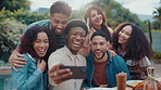 Selfie, excited and friends outdoor at barbecue for celebration, bonding or reunion in backyard. Smile, grill and group of people with photography picture for memory with connection at event together