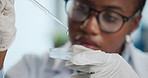 Black woman, scientist and drop with petri dish for chemical compound or medical research in lab. Female person, pipette and science discovery with particles for healthcare development or experiment
