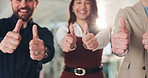 Thumbs up, collaboration and business people in office with approval, achievement or teamwork. Goal, agreement and group of employees with yes hand gesture for opinion, feedback and winner support