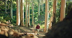 Adventure, hiking and travel with man in forest to explore remote location for discovery or hobby. Fitness, trekking and walking with backpacker person outdoor in nature for holiday or vacation