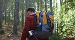 Man, back or hiking with bag in forest for natural sightseeing, journey or outdoor adventure. Male person, hiker or watch with backpack, trees or wilderness for trekking path or exploration in nature