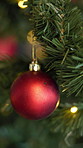 Christmas, tree and red bauble in home for holiday, festive season and party celebration in house. Ornament, xmas and decoration for December tradition, bokeh lights and new year event in living room