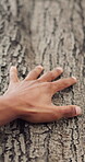 Outdoor, hand and touch trees with person for hiking, nature connection and explore textures. Closeup, hiker and respect for environment, forest observation and trekking adventure with eco awareness
