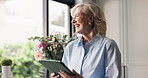 Funny, tablet and thinking with woman in home for planning, remote work or research. App, laughing and small business with happy freelance employee in apartment for browsing or contemplation