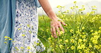 Hand, woman and touch flowers in field on holiday, vacation and travel in nature outdoor. Meadow, plants and back of person on trip, adventure and tourist walk on journey in summer in countryside