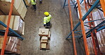 Cargo, shipping and above with people in warehouse for package distribution, logistics and inventory. Supply chain, collaboration and courier depot with employees in factory for ecommerce export